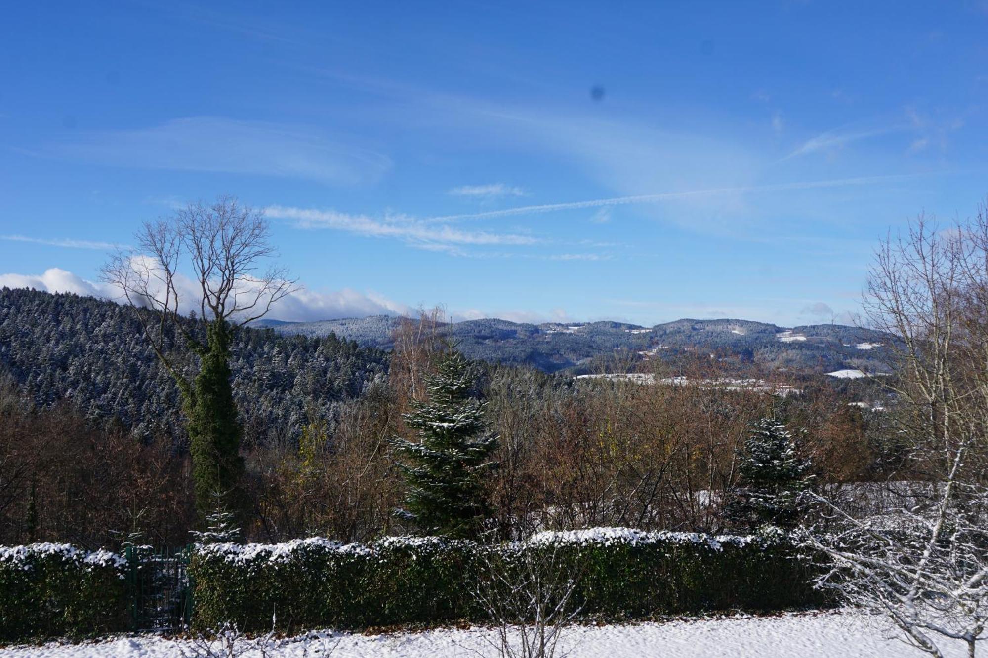 Chalet Waldzeit Zachenberg Dış mekan fotoğraf